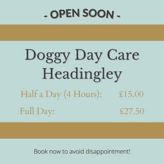 Our new dog day care service will be up and running very soon at the new site in Headingley!

Dog day care is all about your dog interacting with other dogs and humans alike while you’re unable to be around. They’ll be taught commands and we will ensure your dog is kept happy and healthy living the best life possible!

We offer small groups, so your dog gets all the care and attention they need to thrive whilst in our hands!

Opening hours are:
Monday to Friday: 7am to 6pm
Saturday: 9am to 5pm

For more information, DM us on Instagram or message us on Facebook! 

#dogdaycare #dogdaycareleeds #dogdaycareyorkshire #happypups #doglover #mrsbsdogs #doggydaycare #doggydaycareuk